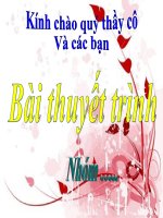 Lập hồ sơ và nộp lưu hồ sơ tại tổng công ty Tân Cảng Sài Gòn