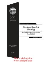 A Report Montana Legislature Financial Audit _part1 pptx