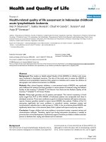 báo cáo hóa học: 