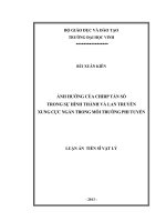 Ảnh hưởng của chirp tần số trong sự hình thành và lan truyền xung cực ngắn trong môi trường phi tuyến