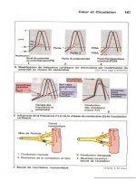 Atlas de poche de physiologie - part 6 pdf