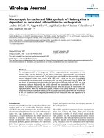 Báo cáo sinh học: 