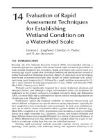 WETLAND AND WATER RESOURCE MODELING AND ASSESSMENT: A Watershed Perspective - Chapter 14 pptx