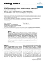 Báo cáo sinh học: 