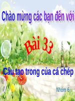 Bài giảng điện tử môn sinh học: đặc điểm của cá chép docx