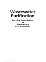 Wastewater Purification: Aerobic Granulation in Sequencing Batch Reactors - Chapter 1 pptx