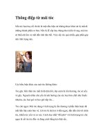 Thông điệp từ mái tóc ppt