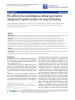 Báo cáo hóa học: 