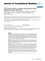 báo cáo hóa học: