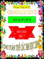 Bài giảng điện tử môn sinh học: cây phát sinh giới động vật pot