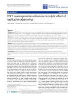 Báo cáo hóa học: 