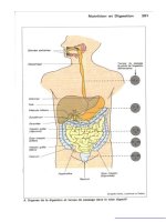 Atlas de poche de physiologie - part 7 potx