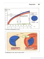 Atlas de poche de physiologie - part 4 pptx