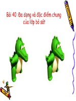 Bài giảng điện tử môn sinh học: sự đa dạng của lớp bò sát ppt