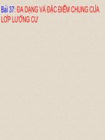 Giáo án điện tử môn môn sinh học: đa dạng của lớp lưỡng cư pdf