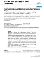 báo cáo hóa học: 