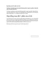 Hợp đồng mua đất 1 phần của sổ đỏ potx