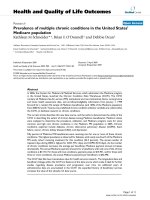 báo cáo hóa học: 