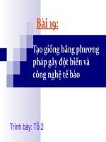 Sinh học 12  Bài 19. Tạo giống bằng gây đột biến