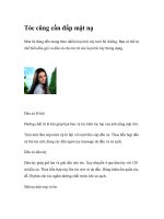 Tóc cũng cần đắp mặt nạ pdf