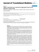 báo cáo hóa học: