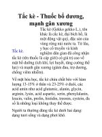 Tắc kè - Thuốc bổ dương, mạnh gân xương doc