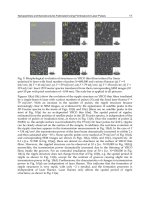 Lasers Applications in Science and Industry Part 2 pot