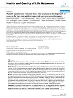 báo cáo hóa học: 