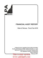 FINANCIAL AUDIT REPORT State of Kansas_part1 pdf