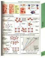 Atlas de poche d immunologie - part 5 pot
