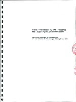 Báo cáo tài chính công ty cổ phần tư vấn thương mại , dịch vụ, địa ốc Hoàng Quân_Năm tài chính kết thúc ngày 31 tháng 12 năm 2010 docx