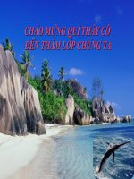 Giáo án điện tử môn môn sinh học: sự vận động và di chuyển potx