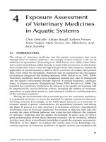 Veterinary Medicines in the Environment - Chapter 4 potx