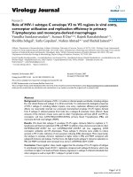 Báo cáo sinh học: 