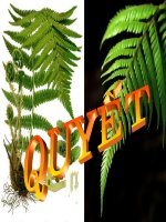 Bài giảng điện tử môn sinh học: Ngành Quyết doc