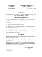 Quyết định số 52/2011/QĐ-UBND pot