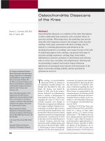 Phẫu thuật chỉnh hình đầu gối ppt