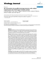 Báo cáo sinh học: 