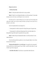 Đăng ký lại việc tử docx