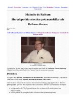 Maladies oculaires - part 8 docx