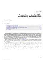 Heavy Metals in the Environment: Using Wetlands for Their Removal - Chapter 10 potx