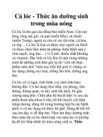 Cá lóc - Thức ăn dưỡng sinh trong mùa nóng pdf