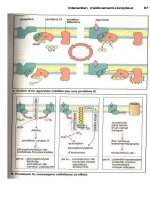 Atlas de poche pharmacologie - part 3 potx