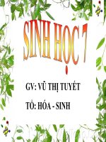 Giáo án điện tử môn môn sinh học: động vật và thực vật pdf