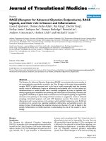 báo cáo hóa học: