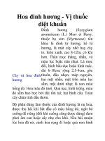 Hoa đinh hương - Vị thuốc diệt khuẩn pdf