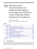 Fate of Pharmaceuticals in the Environment and in Water Treatment Systems - Chapter 12 pot