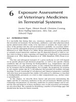 Veterinary Medicines in the Environment - Chapter 6 pot