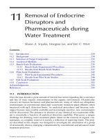 Fate of Pharmaceuticals in the Environment and in Water Treatment Systems - Chapter 11 docx