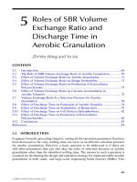 Wastewater Purification: Aerobic Granulation in Sequencing Batch Reactors - Chapter 5 potx